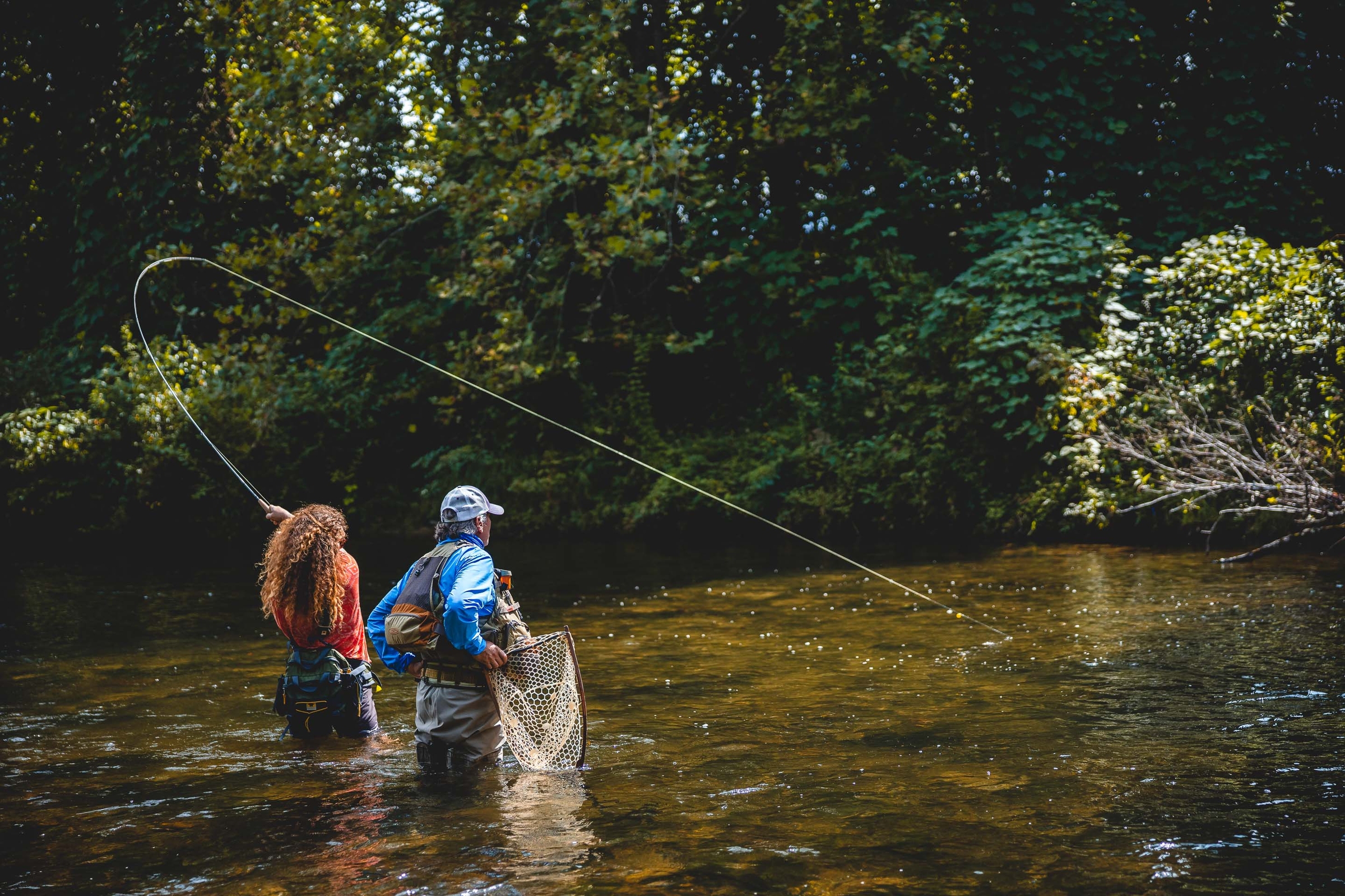 Rivers and Streams of WNC Davidson River Outfitters
