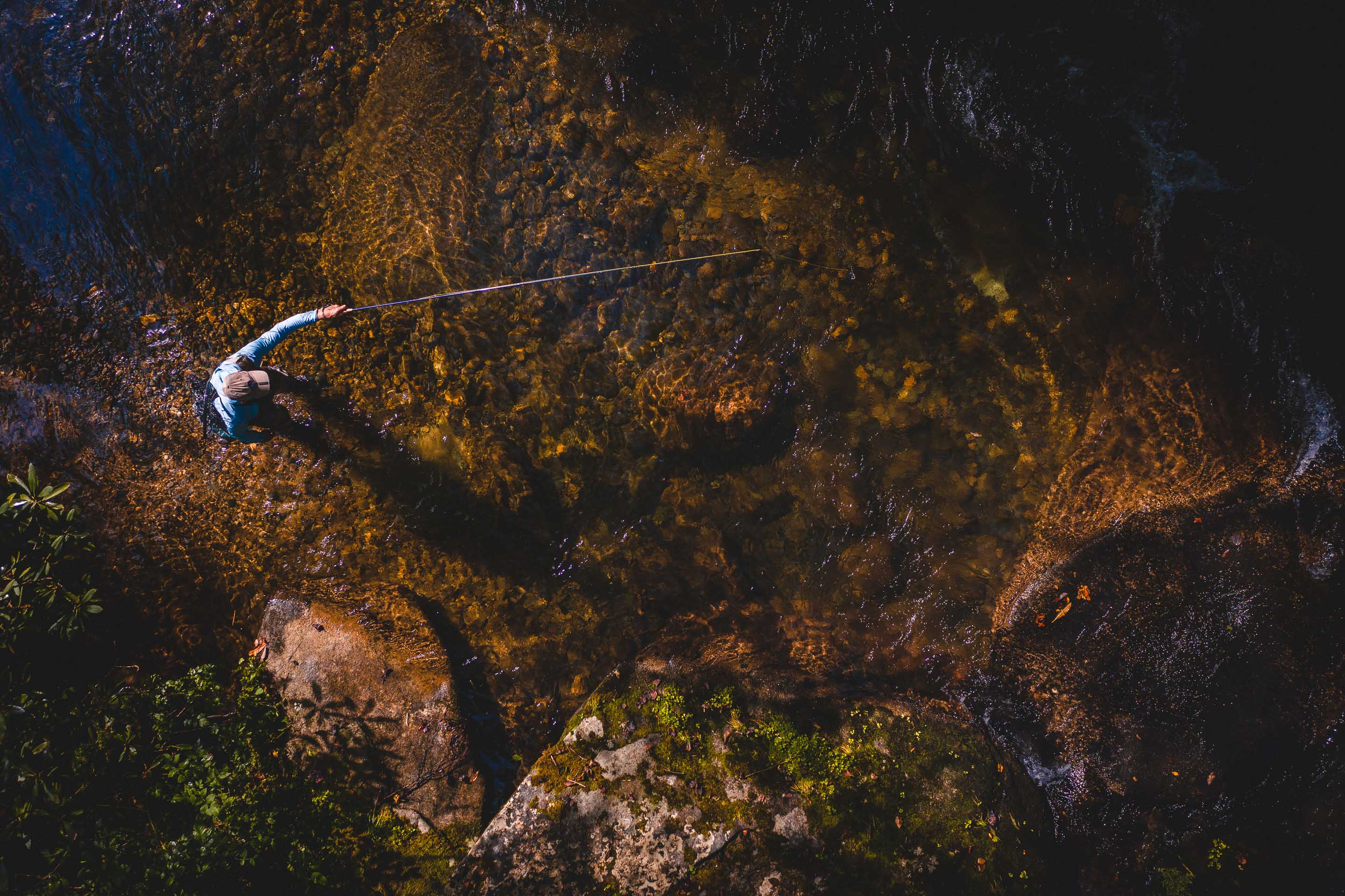 overhead shot of man fly fishing on the Davidson