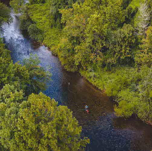 overhead view of a river