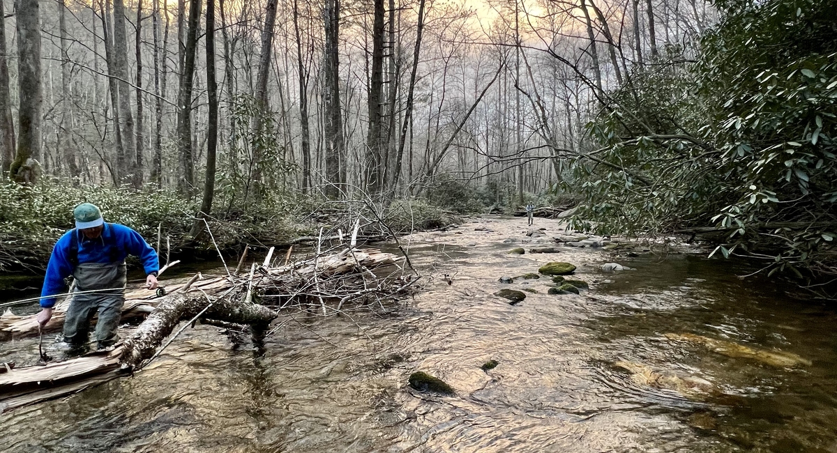 The Seven Dont's of Creeks Davidson River Outfitters